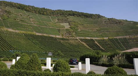 Weingut Deutzerhof Mayschosser M Nchberg Sp Tburgunder Gg Ahr