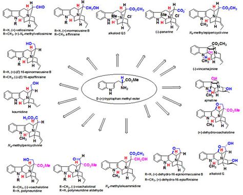 Indole Alkaloids