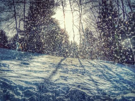 Premium Photo Sun Shining Through Snow