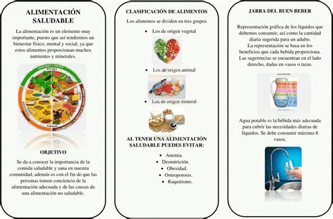 Trípticos de la Alimentación Saludable Descargar