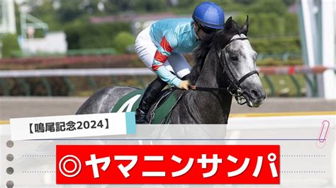 【鳴尾記念2024】自信の本命！過去データ、追い切りなどを総合した最終結論！ アギョウトレセン