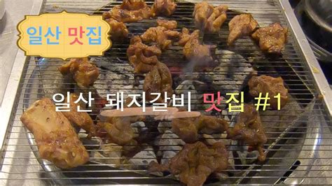 일산 돼지갈비 맛집 대흥갈비 라페스타점 Youtube