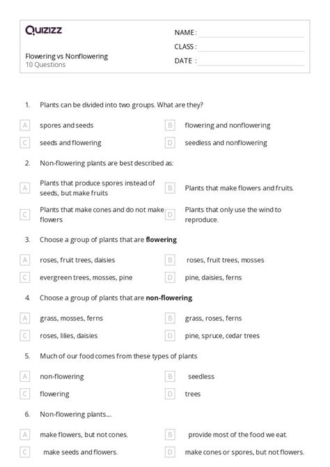 Cones Worksheets For Th Class On Quizizz Free Printable