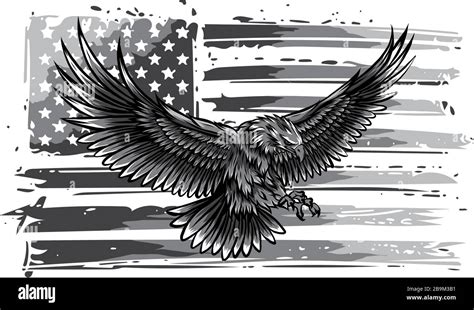 Monochromatic Vector Illustation American Eagle Against Usa Flag And