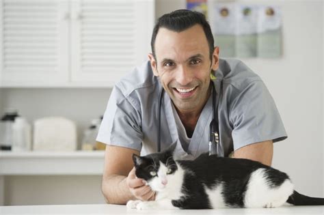 Online Vet Tech Schools 2021