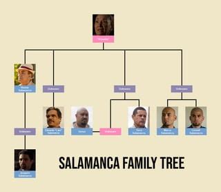 I made a Salamanca family tree : r/breakingbad