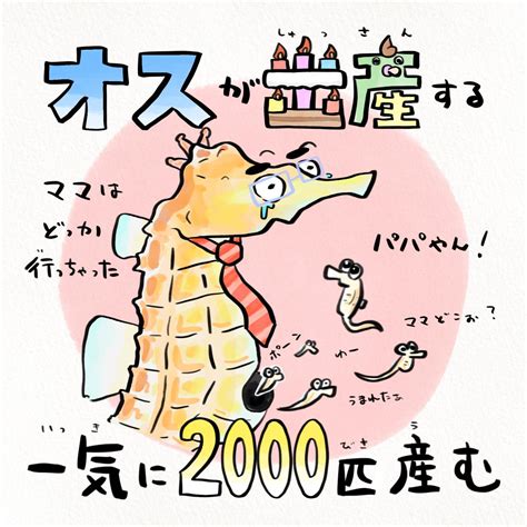 「今年は辰年、あけましておめでとうござます🐲」さかなのおにいさん かわちゃんの漫画