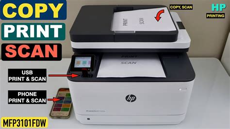 How To Scan Print And Copy With Hp Laserjet Pro Mfp 3101fdw All In One Printer Youtube