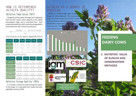 PDF ALFALFA AS A SOURCE OF ALFALFA QUALITY AS A SOURCE OF PROTEIN