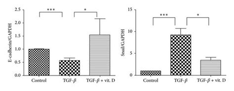 Vitamin D3 Inhibited Transforming Growth Factor β1 Tgf β1 Induced