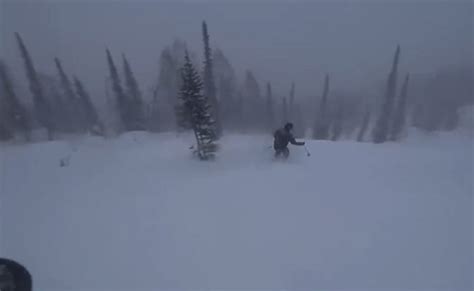 Video Moment When Massive Avalanche Hits Skier Buries Him