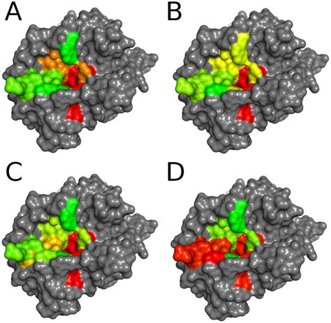 Water thermodynamics within the thrombin binding site in comparison... | Download Scientific Diagram