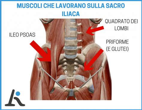 Sacroileite 5 Esercizi E Consigli Per Ridurla L Altra Riabilitazione