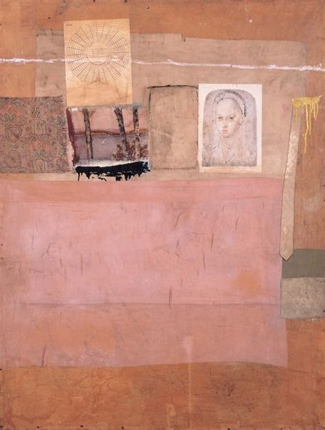 Combine Is A Term Rauschenberg Invented To Describe A Series Of Works