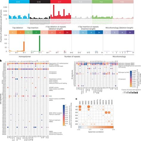 Sbs And Id Signature Activity Across Pediatric Cancers A Example