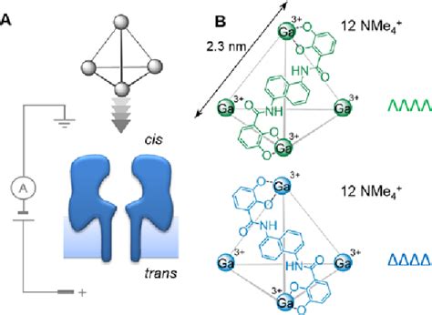 Figure 1 From Discrimination Of Supramolecular Chirality Using A