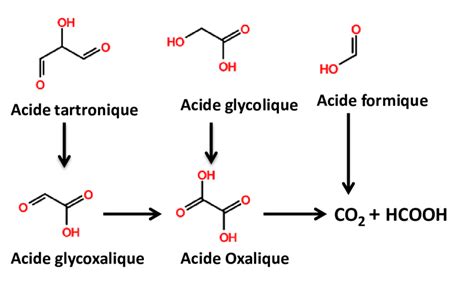 17 Mécanisme réactionnel de l oxydation de l acide tartronique