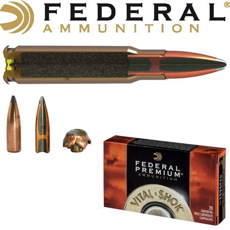 Balles Federal Nosler Partition Vital Shok Win Mag Grains Par