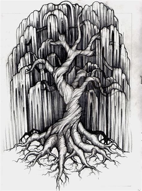 Weeping Willow Sketch at PaintingValley.com | Explore collection of ...