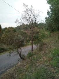 Terrenos Terreno R Stico Mais Baratos Em Const Ncia Casa Sapo