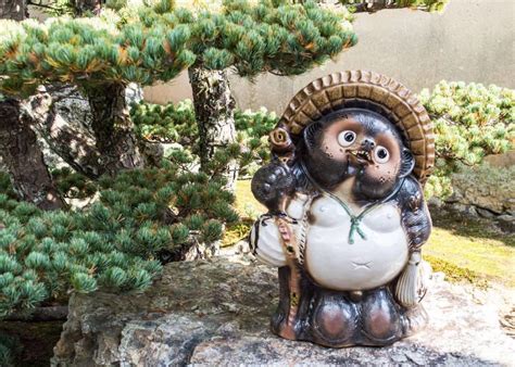 Mythology Of The Japanese Tanuki Legit Shapeshifter Or Regular Animal