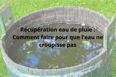 Comment éviter que leau croupisse dans un récupérateur deau de pluie