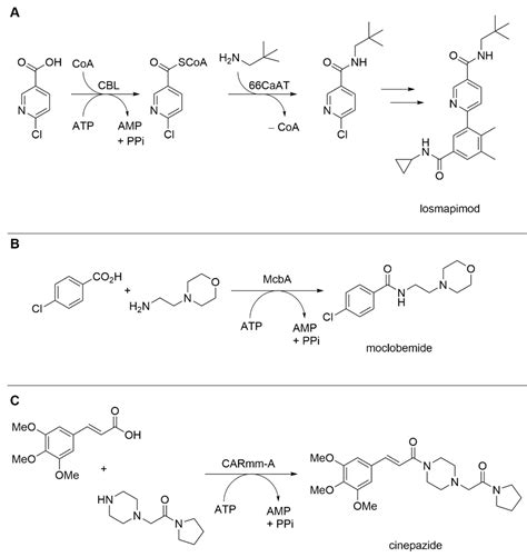 Biomedicines Free Full Text Recent Advances In Biocatalysis For