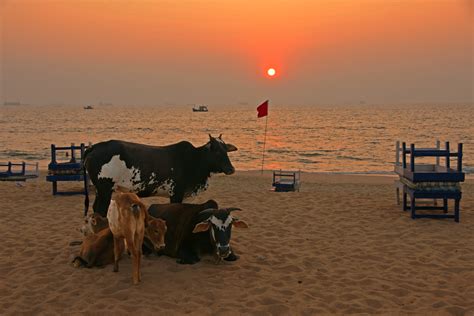 Dona Paula, Goa, India Sunrise Sunset Times