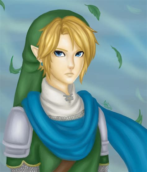 Hyrule Warriors Link By Selenalynne On Deviantart