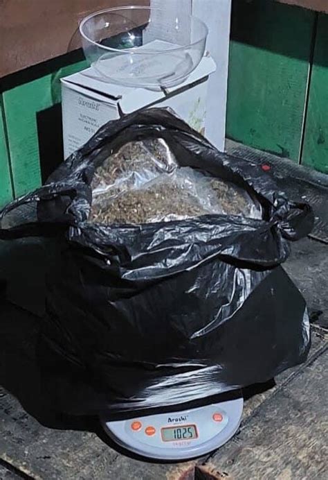 1025 Gram Ganja Kering Berhasil Diamankan Satgas Yonif 132bs