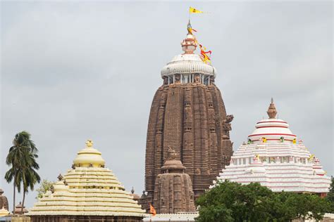 Jagannath Temple Puri Jagannath Temple To Take Up Issue Of Untimely