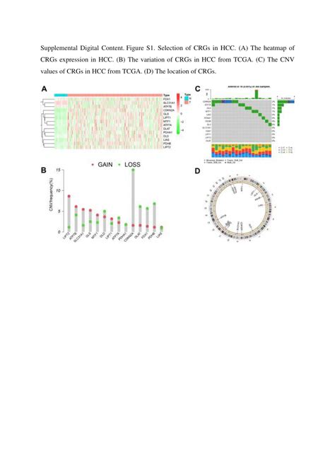 PDF Cuproptosis Related Prognostic Signatures Predict The Prognosis