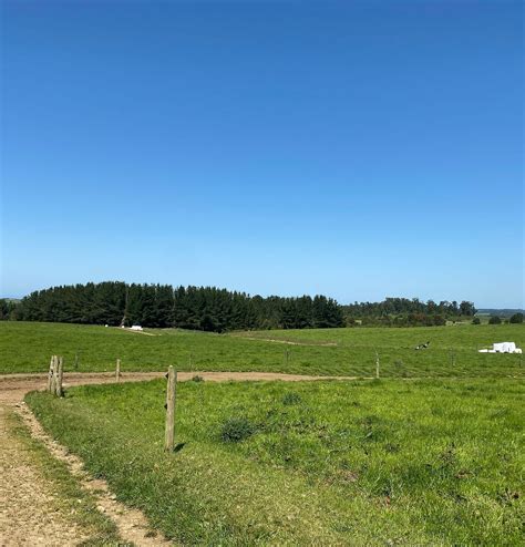 Fundo Caracol Terrenos En Puerto Montt Con Patagonland