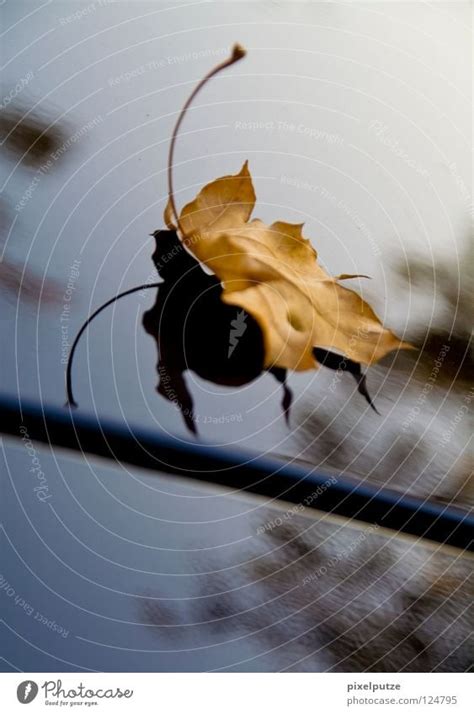 Landeanflug Blatt Herbst Ein Lizenzfreies Stock Foto Von Photocase