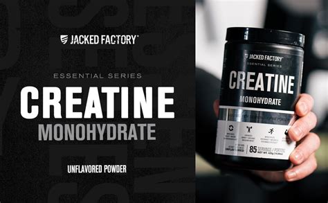 Creatine Monohydrate Powder 425g - Creatine Supplement for Muscle ...