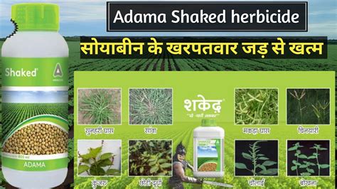 Adama Shaked Herbicide Shaked Adama Herbicide Propaquizafop 2 5