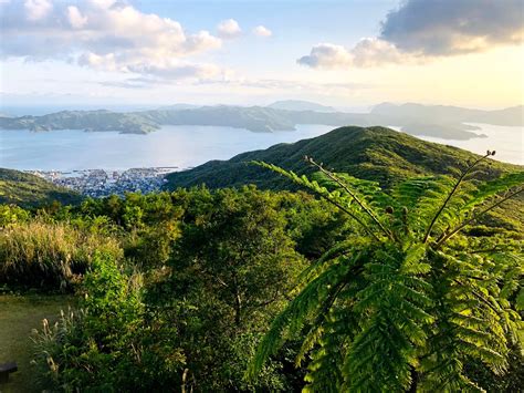 奄美大島が世界自然遺産に登録された理由とエリアを簡単解説！ ダイビングと海の総合サイト・オーシャナ