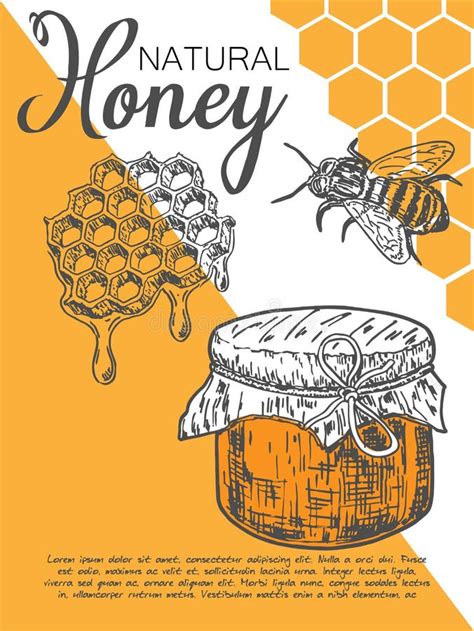 Bee Natural Honey Vector Hand Drawn Flyer Set Stock Vector