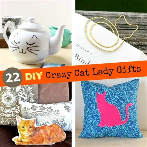 DIY Gifts for Cat Lovers: 22 Homemade Crazy Cat Lady Gifts