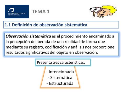 Ejemplos De Observacion Sistematica En El Aula Opciones De Ejemplo