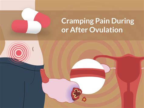 Early Signs Of Implantation After Ovulation