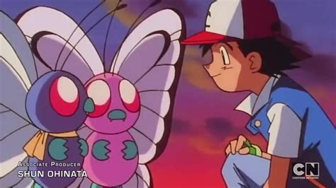 Pink Butterfree Animated Character Database Fandom