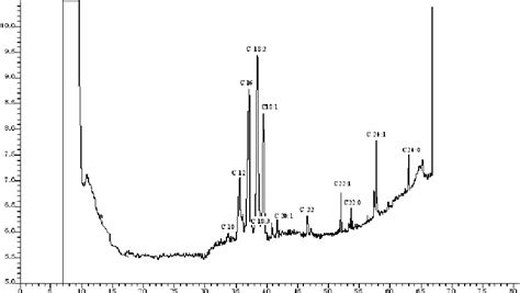 GC Chromatogramm obtained by the injection of 5 μL of fatty acid