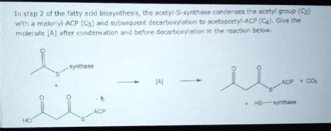 Solved In step 2 of the fatty acid biosynthesis, the | Chegg.com