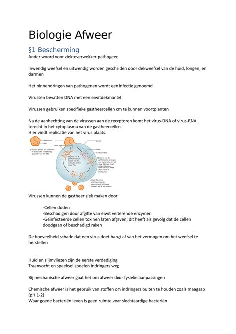 Biologie Afweer Uitscheiding Biologie Afweer Bescherming Ander