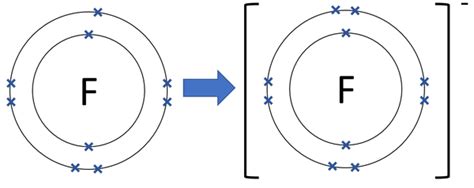 Fluorine Key Stage Wiki