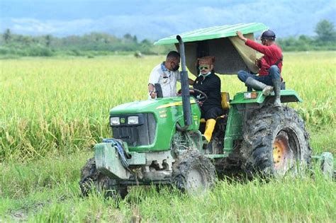 Gunakan Alsintan Kesejahteraan Petani Agam Semakin Meningkat Tempo Co