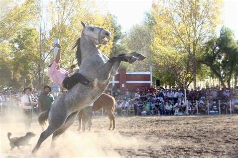 Arranca La Da Fiesta Nacional De La Ganader A De Zonas Ridas