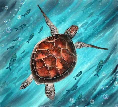 A Sea Turtle Swimming In The Vivid Turquoise Sea Stock Illustration