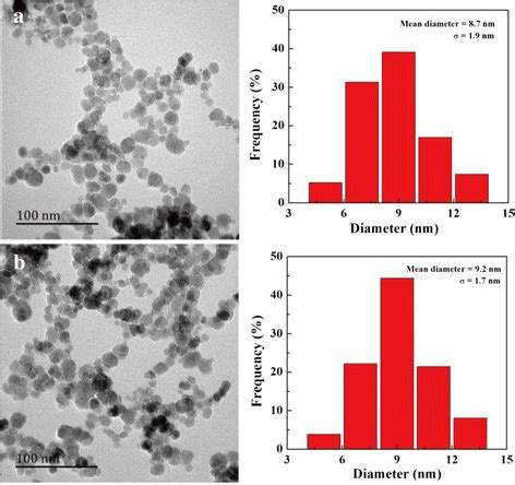 TEM Micrographs And Size Distribution Histograms Of Non Targeted Fe3O4